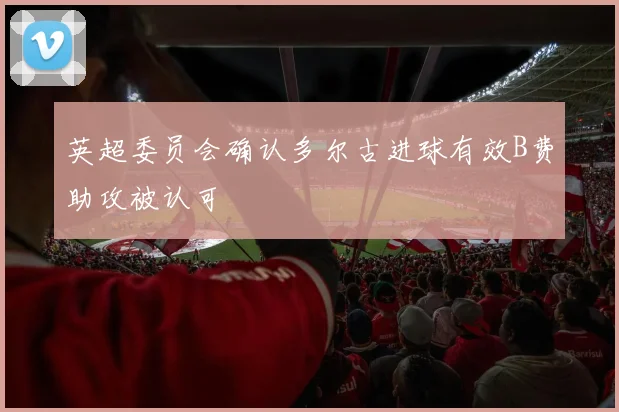 英超委员会确认多尔古进球有效B费助攻被认可