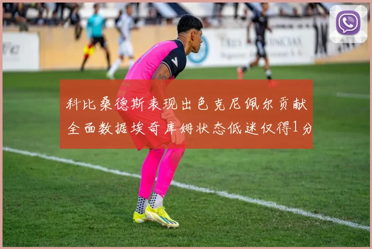 科比桑德斯表现出色克尼佩尔贡献全面数据埃奇库姆状态低迷仅得1分
