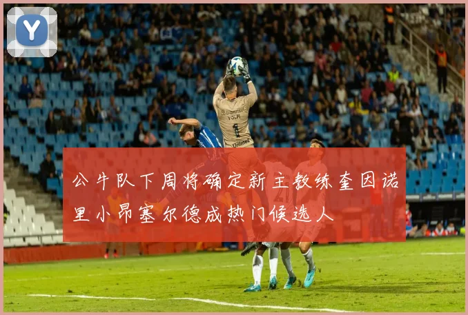 公牛队下周将确定新主教练奎因诺里小昂塞尔德成热门候选人