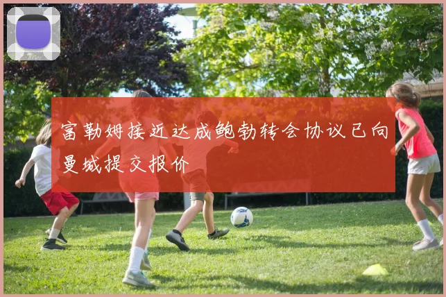 富勒姆接近达成鲍勃转会协议已向曼城提交报价