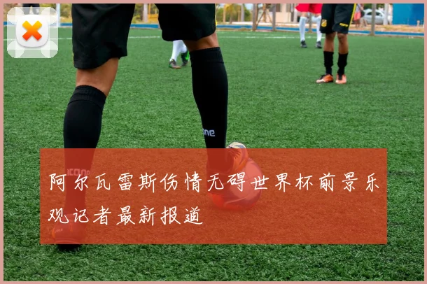 阿尔瓦雷斯伤情无碍世界杯前景乐观记者最新报道